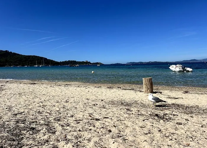 Le Cocon Provencal, T2 Centre * Hyères