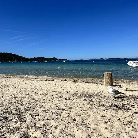 Le Cocon Provençal, T2 Centre * Hyères